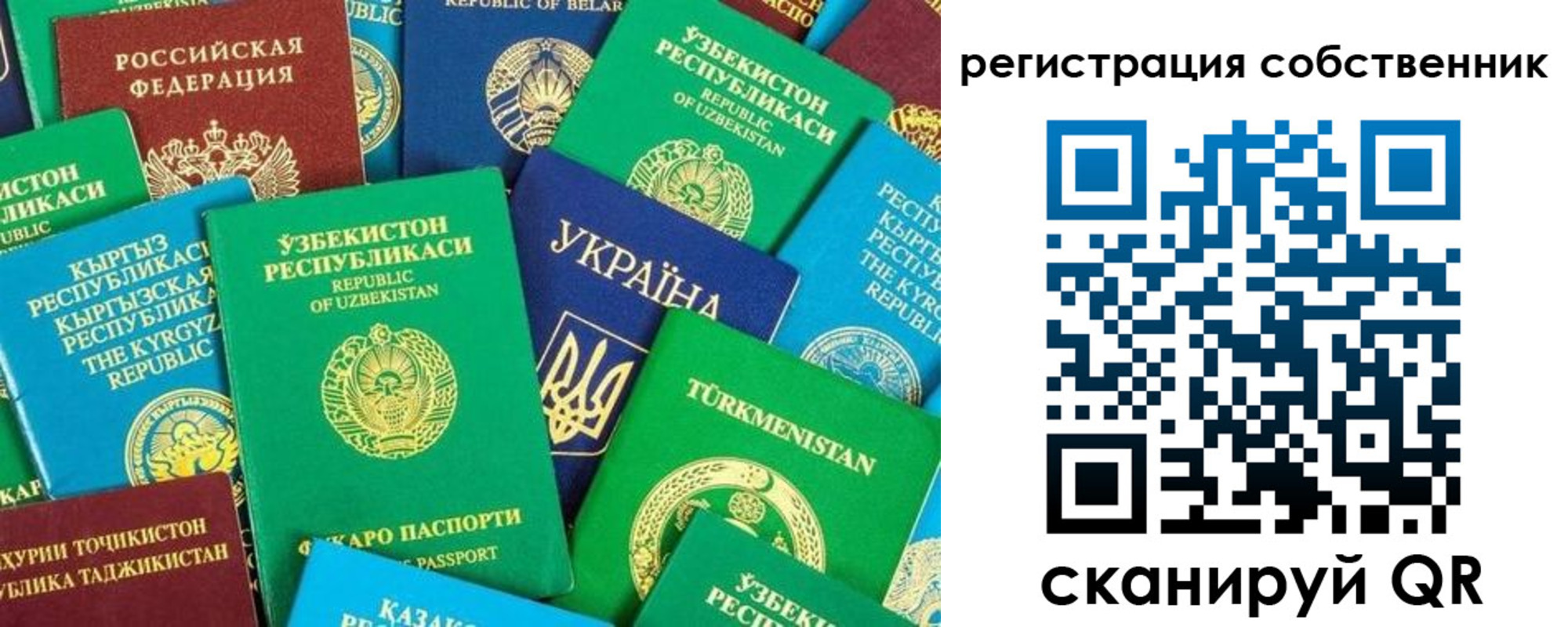 прописка в Мамадыше